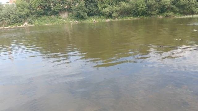 Рыбалка на пахре 2021 #fish #fishing