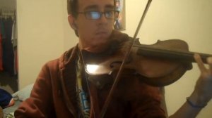 DKC2 - Forest Interlude (Enchanted Wood Theme) Violin Cover