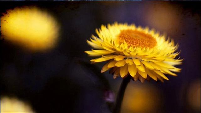 A. Vivaldi: RV 48 / Sonata for flute & b.c. in C major / Conserto musico смотреть онлайн