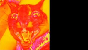 злые лица Шлёпы / Шлёпа становится злым / Floopa becoming angry (+ещё 3 лица) Шаблон (alt. music)