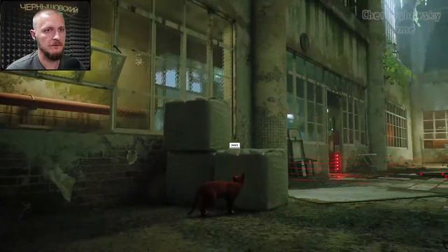 СТРИМ ▶ STRAY ФИНАЛ ▶ КИБЕРКОТ