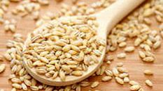 Как правильно сварить перловку для рыбалки.