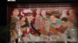 Порода кошек рэгдолл