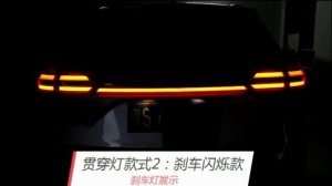 Led вставка задних фонарей Джили Атлас (Geely Atlas )