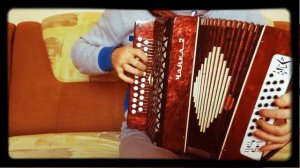 СерегаБаян - Мне бы в небо (С.Шнуров) на гармошке