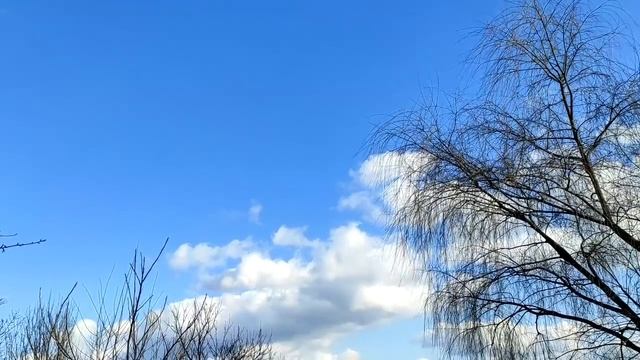 6 признаков того, что вы способны читать энергию других людей смотреть онлайн