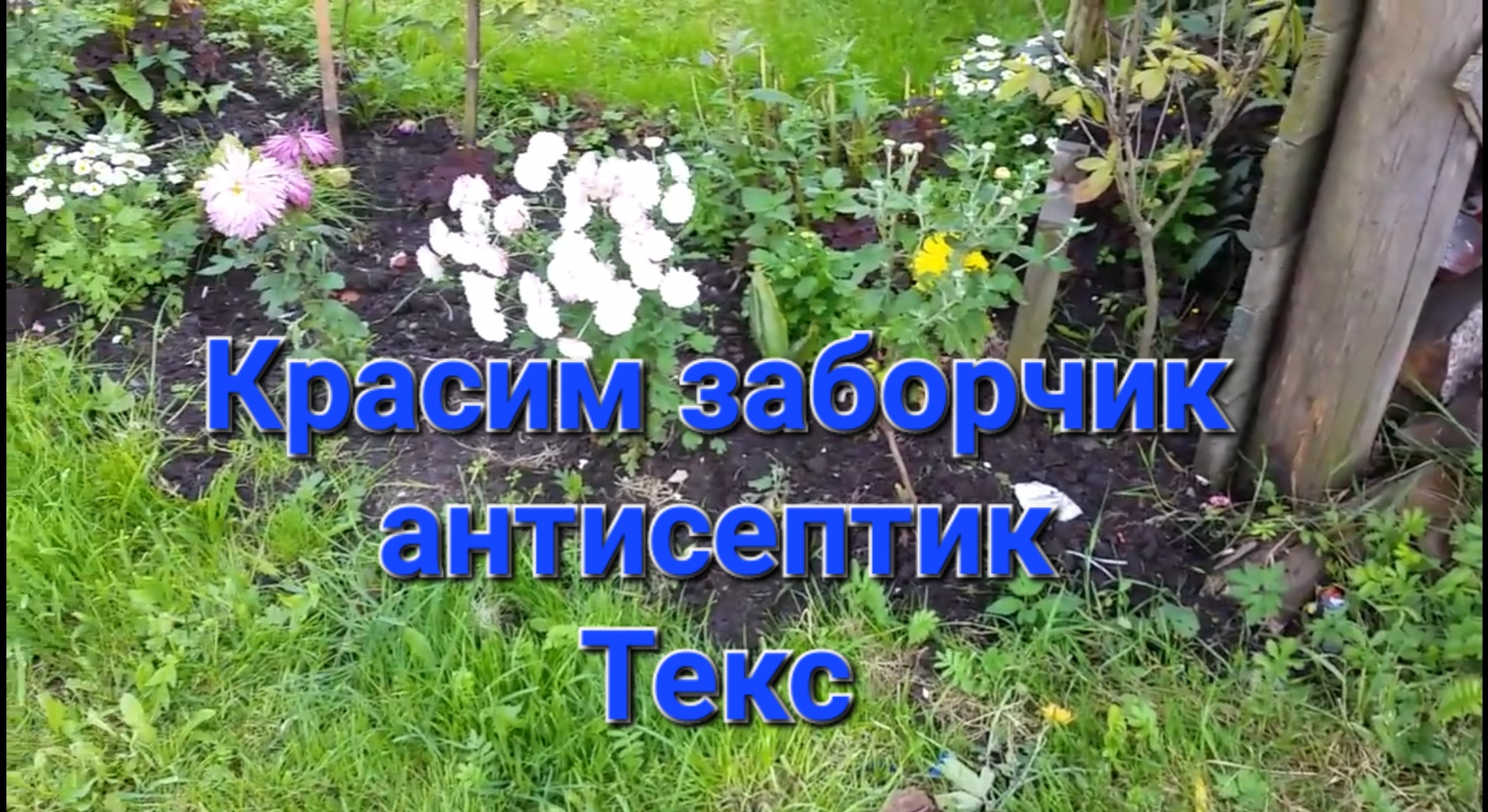 Покраска забора Антисептик Текс Калужница. смотреть онлайн