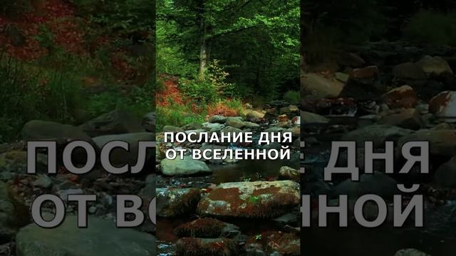 На все нужно время. Не торопи события! | Послание дня от Вселенной #Shorts