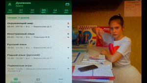 Зачем нужна виртуальная школа? Верните нам дневники!