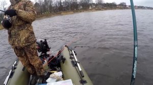 Дропшот зимой. Ловля судака в конце декабря.