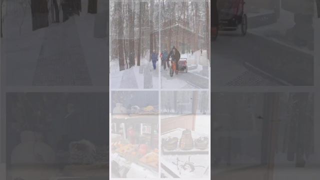 «Лесная чайная» в Мещерском парке смотреть онлайн