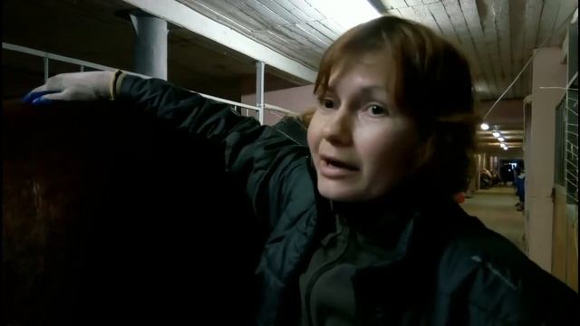 Как приучить лошадь соблюдать чистоту? Рассказывает Полина Воробьева / Дивные Кони