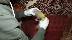 СТАРЬЁВЩИКИ :Дачный улов .1 глава :находки супер , а главное даром.