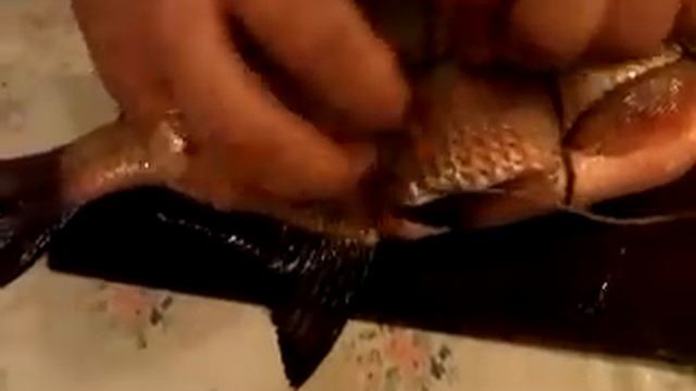 Как перевезать рыбу для горячего копчения