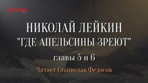 Николай Лейкин. «Где апельсины зреют». Аудиокнига. Главы 5-6