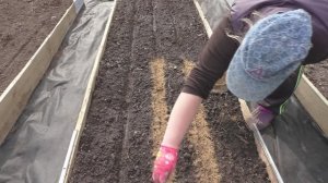 Май, Дом в деревне. Посадки.