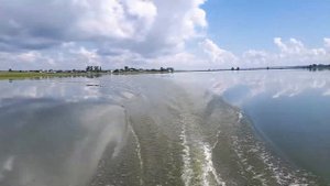 Yamaran T330 Yamaha 3