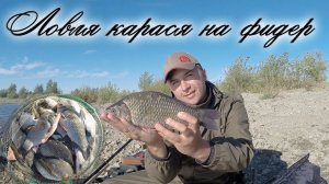 Ловля крупного карася. Рыбалка моей мечты