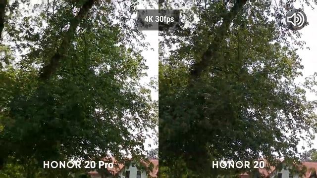 Honor 20 Pro vs Honor 20 - Camera Test Comparison! [Big Difference?] смотреть онлайн