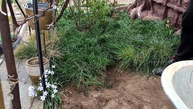 Трава у дома... смотреть онлайн