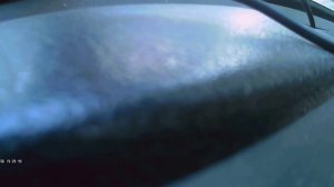 Сбили девочку