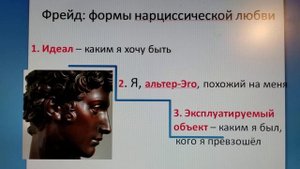 Как любят нарциссы