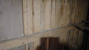 Курятник для зимовки кур "Джерсийский гигант"