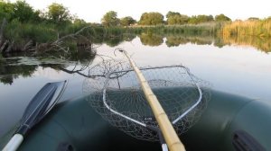 Ловля карпа,  на летнюю мормышку, с удочкой с боковым кивком.