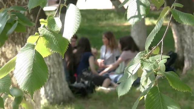 Университетская служба новостей #87 смотреть онлайн