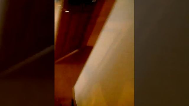 Полька мозг и пончик смотреть онлайн