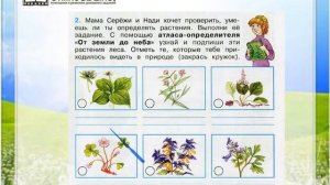 Задание 2 Жизнь леса - Окружающий мир 4 класс (Плешаков А.А.) 1 часть