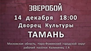 ЗВЕРОБОЙ. Приглашение на концерт 14 декабря ДКИС "Тамань"