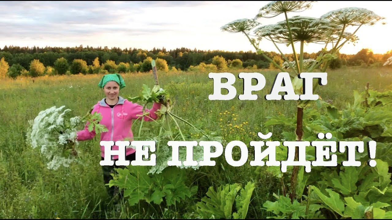 #103. Один вечер в деревне. [Жизнь на своей земле] смотреть онлайн
