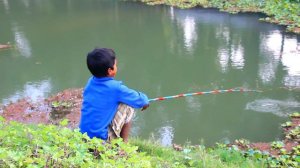 Traditional fish hunting | Fish hunting at the river with beautiful natural | Fish hunting in river