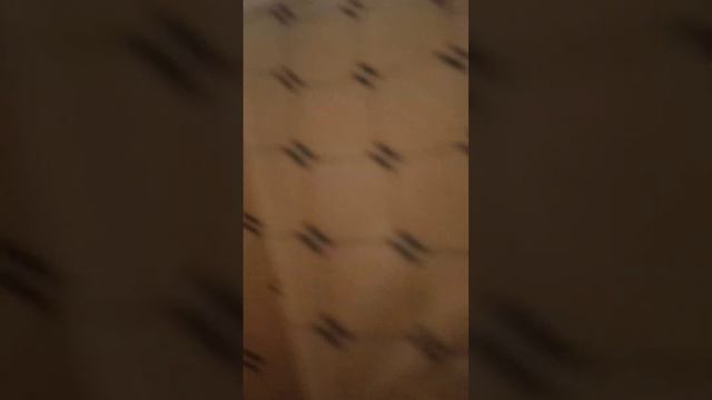 мы с моим младшим братом купить растущие кораллы в воде смотреть онлайн