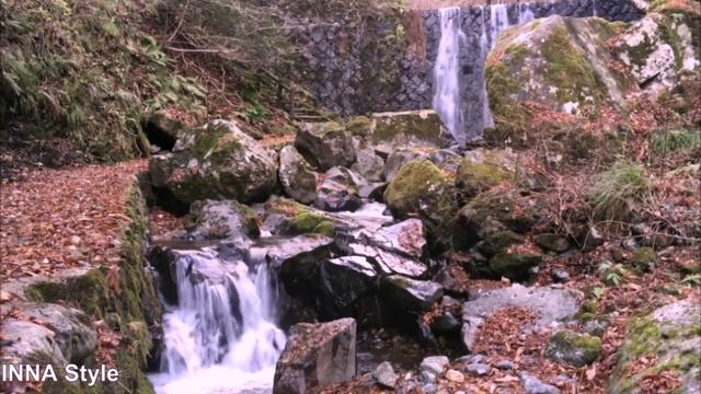 Успокаивающий звук ручья. Лесной ручей. Звуки природы. Шум воды.  Горный ручей. Релакс