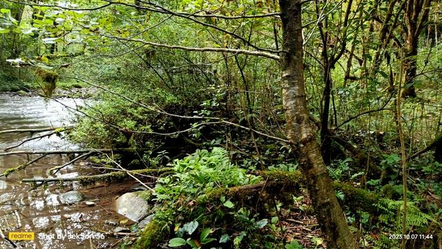 Джунгли долины реки Кодор. Едем на озеро Амктел