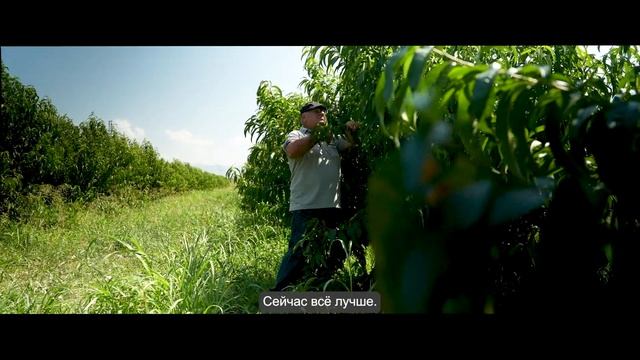 МНЕС помогает обеспечить доступ к оросительной воде (RU) смотреть онлайн