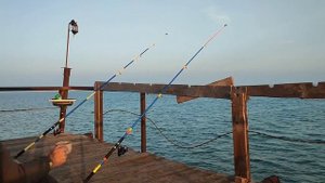 24 часа на рыбалке. Каспийское море #рыбалка #море #каспий