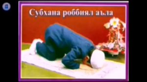 Шом намози 3 ракат фарзи урганишга кулай