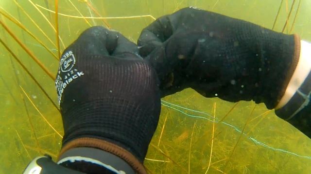 ЗАПУТАЛСЯ В СЕТИ 48 часов в лесу на охоте и рыбалке .клевая рыбалка получилась . смотреть онлайн