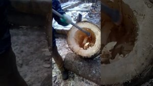 Колодное пчеловодство.Средне-русская пчела. Изготовление колоды.Часть 3.