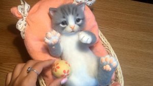 Реалистичный котенок. Сухое валяние из натуральной шерсти