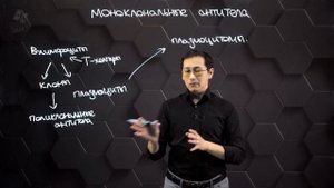 Значение Моноклональных антител. 11 класс.