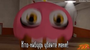 Время мафина!!!Песня