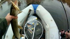 Как правильно ловить на Jackall Magallon. щука на каждом забросе!