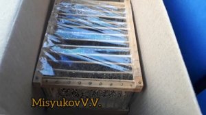 Отправка птицы в Воронеж