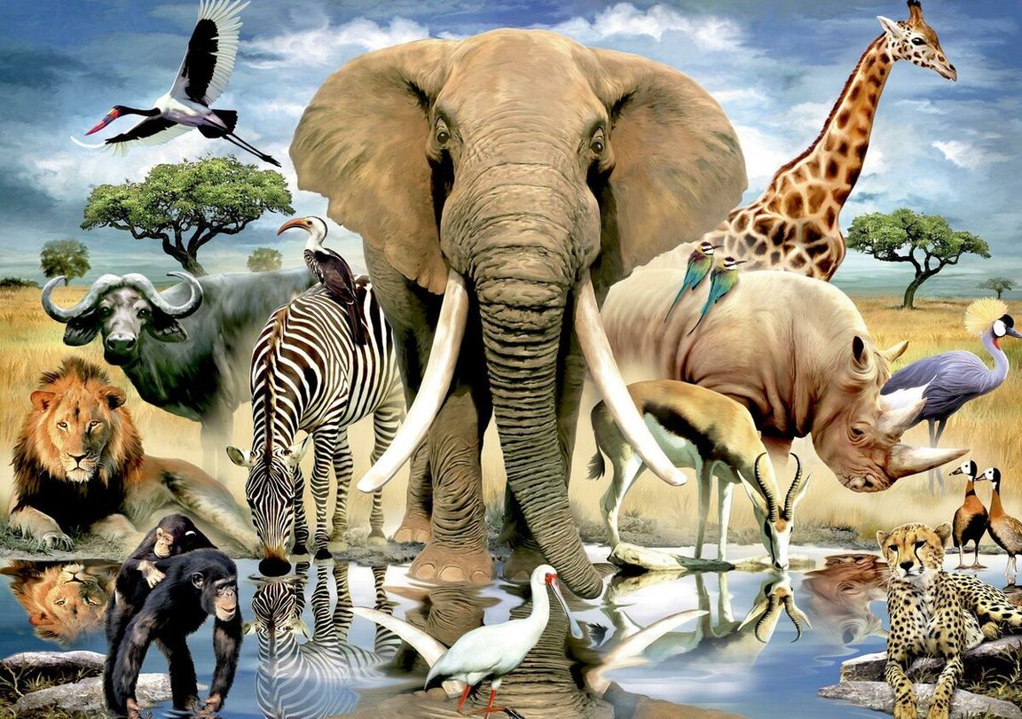 Пазл Step Puzzle Plastic collection мир животных