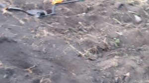 video_20230606_210520.mp4