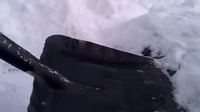 чума